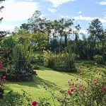 Kebun Mawar Situhapa Garut – Taman Rekreasi, Villa, & Resto