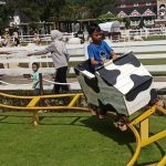 Dairyland Farm Theme Park Puncak Bogor: Harga Tiket, Wahana, dan Review