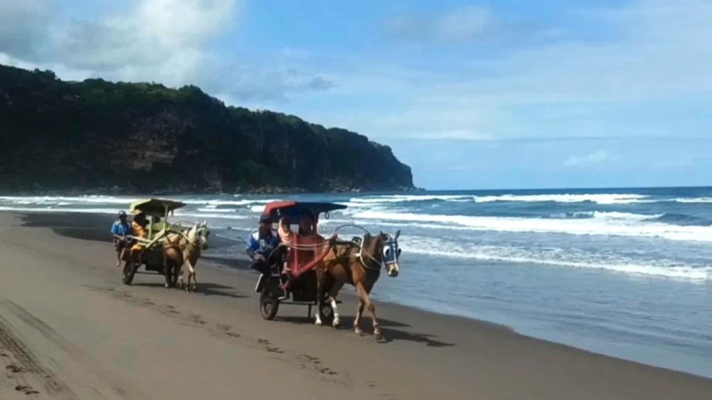 Naik andong sambil menikmati keindahan pantai parangtritis